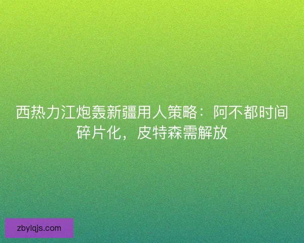 西热力江炮轰新疆用人策略：阿不都时间碎片化，皮特森需解放
